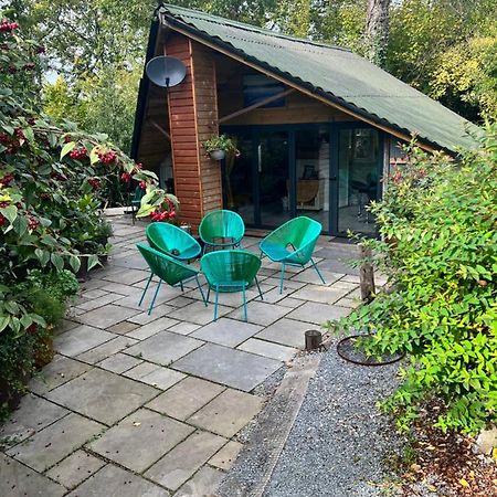 The Shed . A Cosy, Peaceful, 96% Recycled, Chalet. 斯旺西 外观 照片