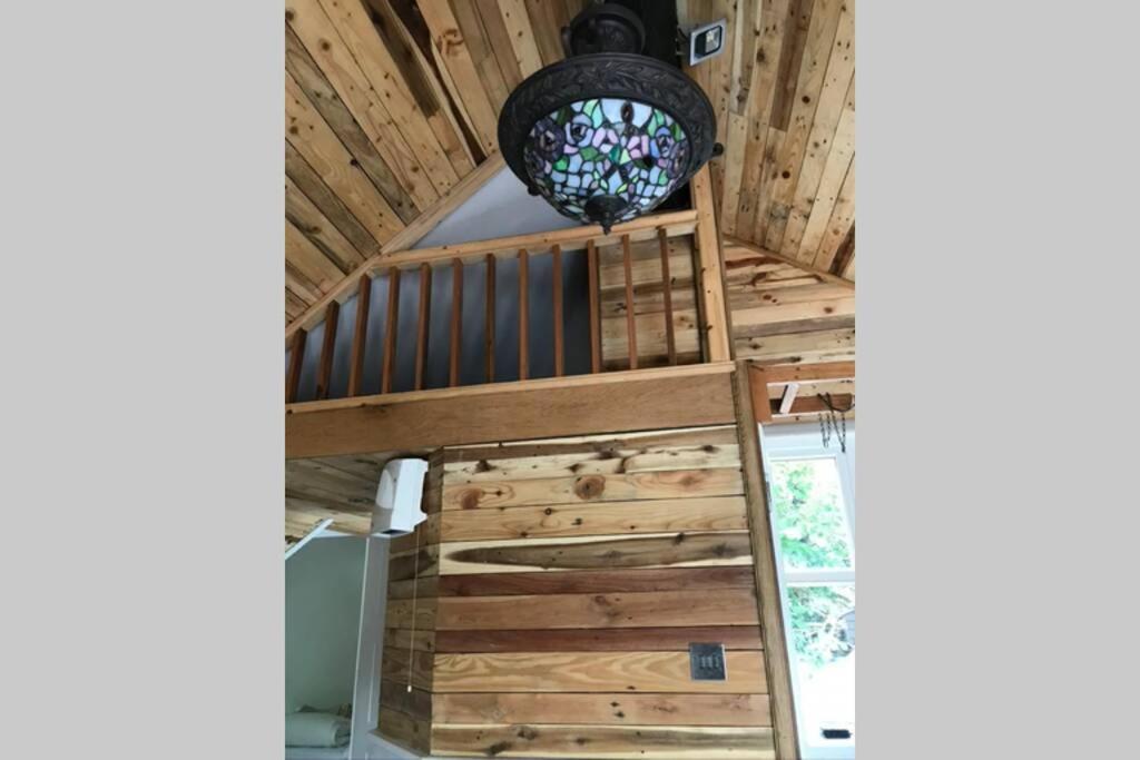 The Shed . A Cosy, Peaceful, 96% Recycled, Chalet. 斯旺西 外观 照片