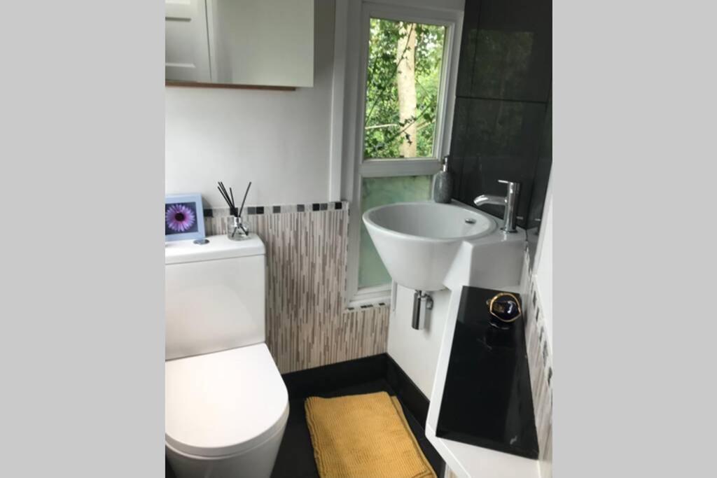 The Shed . A Cosy, Peaceful, 96% Recycled, Chalet. 斯旺西 外观 照片