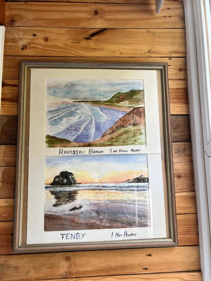 The Shed . A Cosy, Peaceful, 96% Recycled, Chalet. 斯旺西 外观 照片