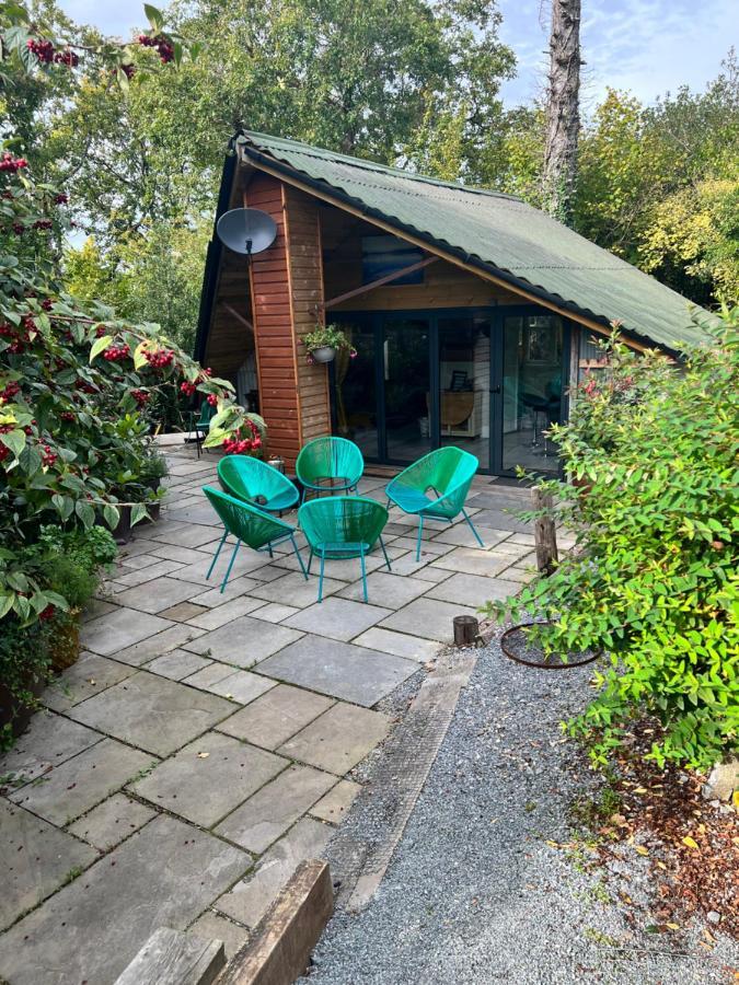 The Shed . A Cosy, Peaceful, 96% Recycled, Chalet. 斯旺西 外观 照片